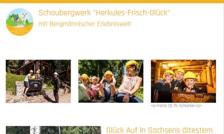 Screenshot der Website des Besucherbergwerkes in Waschleithe